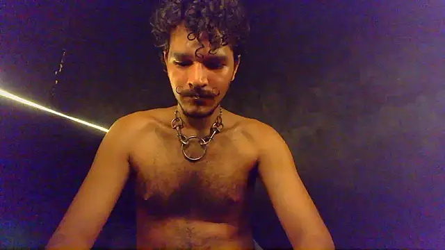 die mond online show from February 19, 2026, 3:35 am