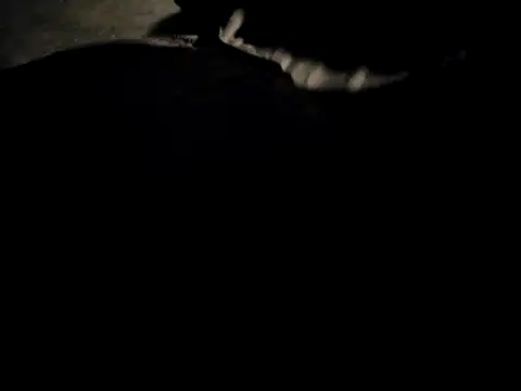 Snapshot of Midwest-exhibistionist chatting on February 22, 2026, 6:46 am Midwest-exhibistionist online show from February 22, 2026, 6:46 am