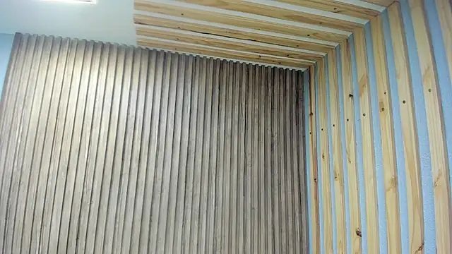 SebastianMaximoff online show from December 20, 2024, 12:05 pm