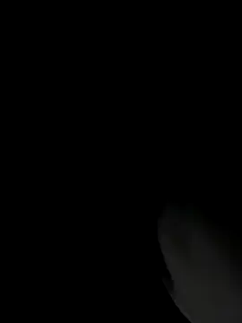 RomaLovesFamily online show from November 16, 2025, 9:26 am