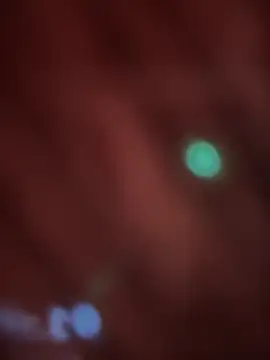  Danna online show from February 14, 2026, 11:07 am