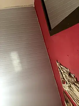 pimenta gaby online show from November 15, 2025, 2:13 pm