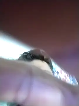 mezenga9813 online show from February 6, 2026, 2:16 am