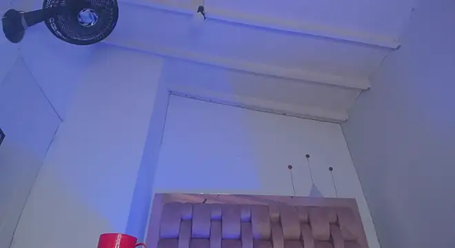 swt-booty online show from December 11, 2024, 5:48 pm