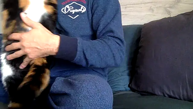 curioushetero online show from February 27, 2025, 1:49 pm