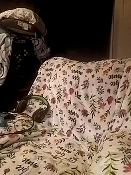 Snapshot of ShadowyTube chatting on February 19, 2025, 6:33 am ShadowyTube online show from February 19, 2025, 6:33 am