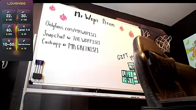 mrwop1 online show from December 22, 2024, 4:38 pm