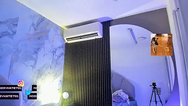 Snapshot of Katemoss70 chatting on September 21, 2025, 12:40 pm Katemoss70 online show from September 21, 2025, 12:40 pm