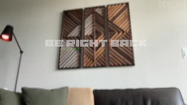 Snapshot of seb_tv chatting on June 10, 2026, 4:17 pm seb tv online show from June 10, 2026, 4:17 pm