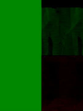 GeilerSchweizer online show from November 25, 2025, 8:47 am