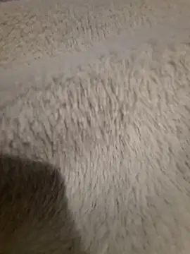 GeilerSchweizer online show from April 24, 2026, 8:00 pm