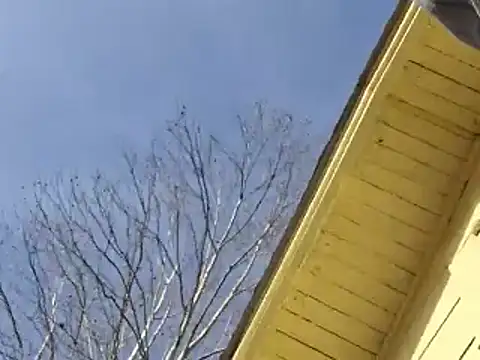 highstepper500 online show from December 26, 2024, 5:15 am