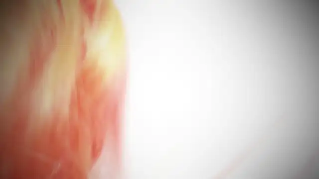 MayaAkashova online show from November 1, 2025, 5:04 pm