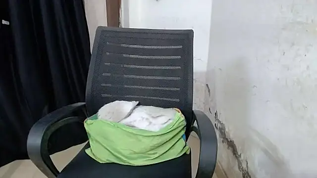 sexy vani1 online show from March 10, 2026, 6:46 pm