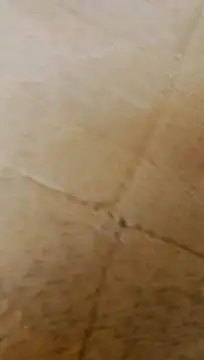 Snapshot of LULE37587001 chatting on February 20, 2026, 6:26 am LULE37587001 online show from February 20, 2026, 6:26 am