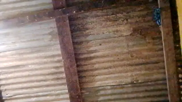 Snapshot of LULE37587001 chatting on February 20, 2026, 11:05 pm LULE37587001 online show from February 20, 2026, 11:05 pm