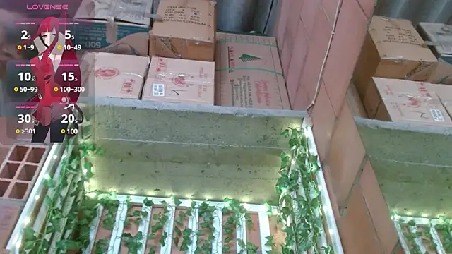 Snapshot of belindathompson chatting on February 25, 2025, 9:24 pm belindathompson online show from February 25, 2025, 9:24 pm