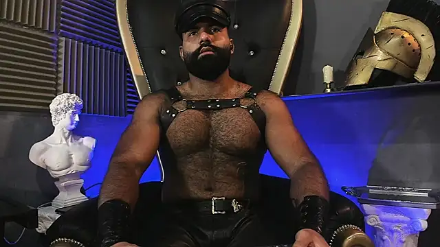 Snapshot of BeardAndrew chatting on February 10, 2026, 10:03 pm BeardAndrew online show from February 10, 2026, 10:03 pm