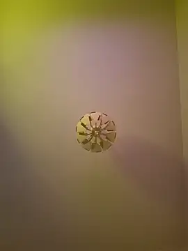 cuci45 online show from October 11, 2025, 6:28 pm