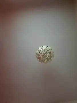 Snapshot of cuci45 chatting on March 21, 2026, 2:16 am cuci45 online show from March 21, 2026, 2:16 am