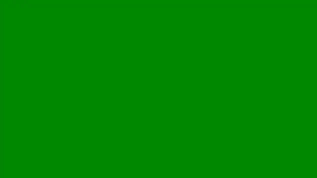 marcela Davila online show from December 18, 2024, 1:59 am