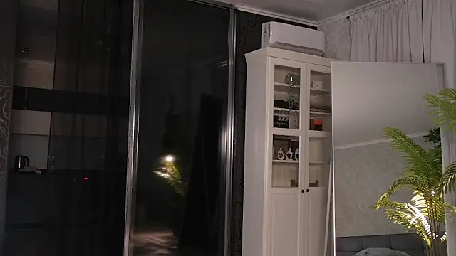 seeunexttime0 online show from January 20, 2025, 2:53 am