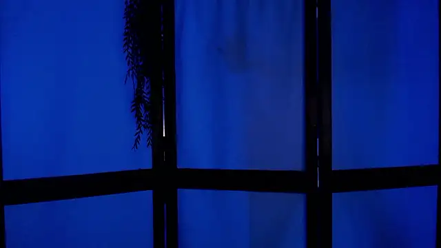 Wildorchid  online show from December 2, 2024, 4:53 am