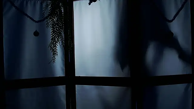 Wildorchid  online show from January 19, 2025, 6:20 am