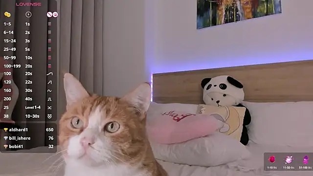 Lenstardi online show from February 15, 2025, 9:15 pm