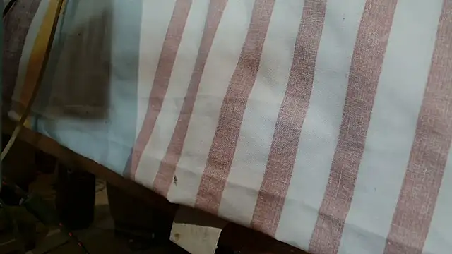 Snapshot of Vanessa117 chatting on January 10, 2026, 6:31 pm Vanessa117 online show from January 10, 2026, 6:31 pm