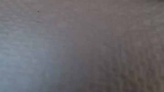 Snapshot of TsSandyx chatting on April 30, 2026, 10:21 am TsSandyx online show from April 30, 2026, 10:21 am