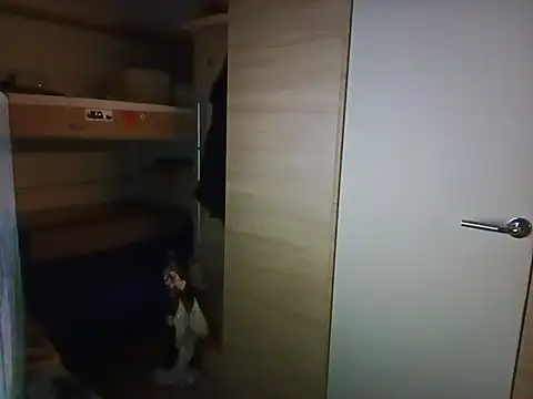 Ebinator666 online show from December 20, 2025, 12:40 am