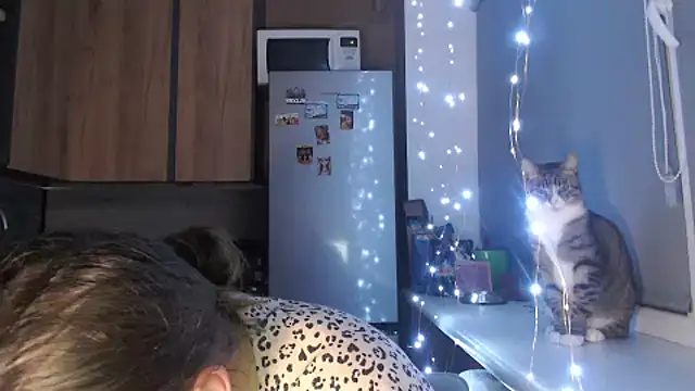 delightful sofi online show from October 23, 2025, 9:13 pm