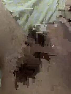 papi88 online show from March 14, 2026, 3:34 am