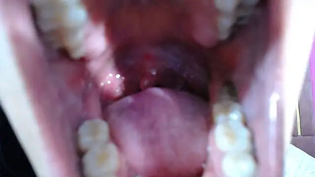 Chanel-24 online show from January 3, 2025, 5:17 am