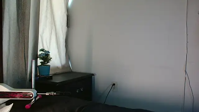 MINI Petite online show from July 26, 2026, 6:26 pm