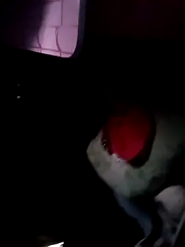 121fff online show from October 9, 2025, 9:40 am