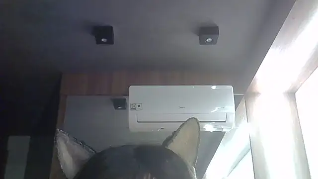 Skinny-Kitten online show from June 2, 2026, 3:52 am
