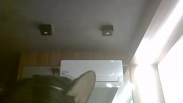 Skinny-Kitten online show from June 17, 2026, 3:46 pm