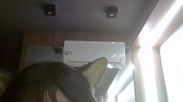 Skinny-Kitten online show from June 24, 2026, 1:37 am