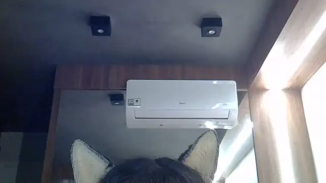 Skinny-Kitten online show from June 26, 2026, 11:36 am