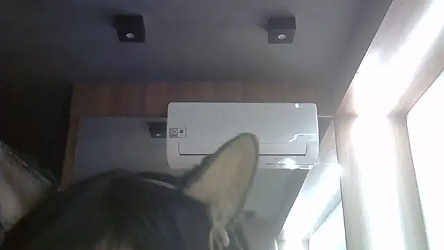 Skinny-Kitten online show from June 27, 2026, 5:23 am