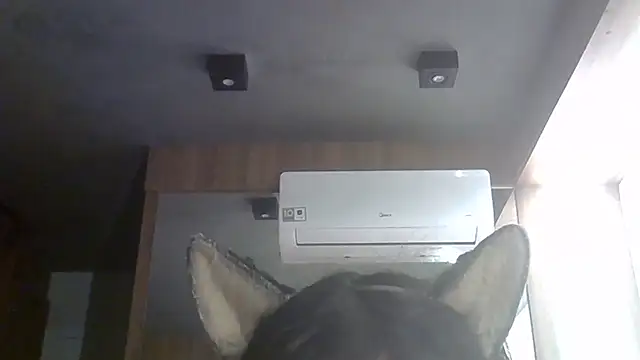 Skinny-Kitten online show from June 27, 2026, 1:28 pm