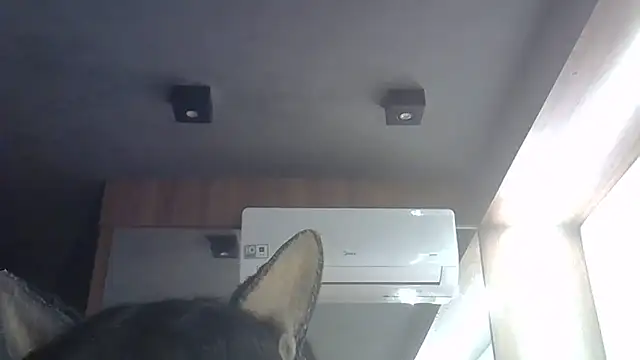 Skinny-Kitten online show from June 28, 2026, 1:33 am