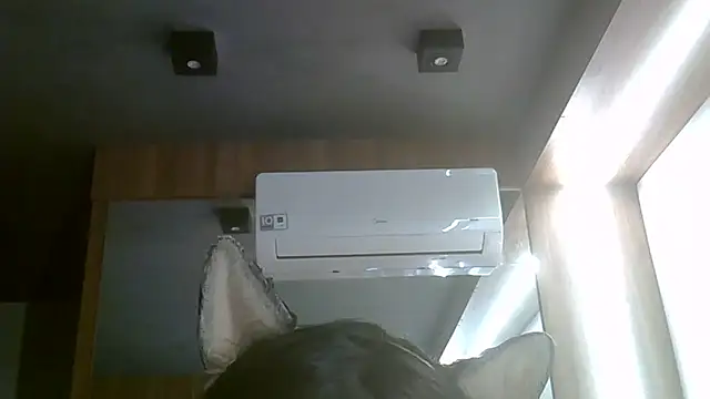 Skinny-Kitten online show from July 5, 2026, 6:04 pm