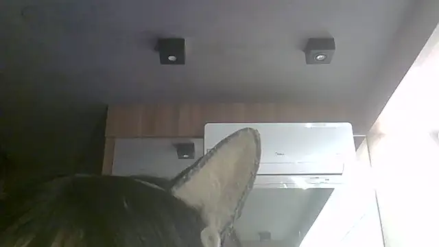 Skinny-Kitten online show from July 11, 2026, 11:35 am