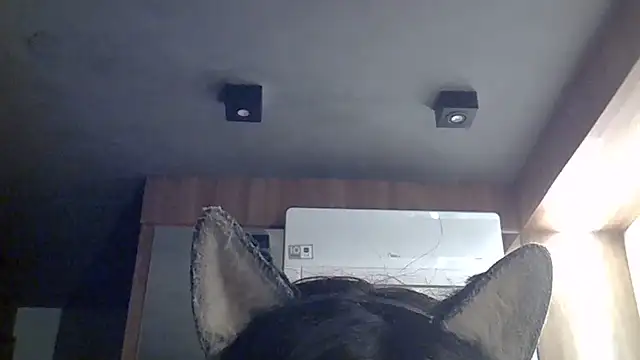 Skinny-Kitten online show from July 12, 2026, 7:43 am