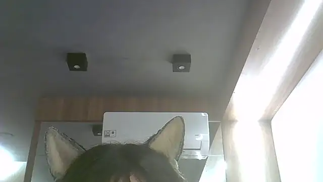 Skinny-Kitten online show from July 17, 2026, 11:53 pm