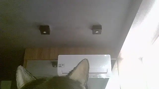 Skinny-Kitten online show from July 19, 2026, 7:12 am