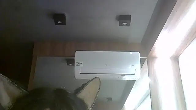 Skinny-Kitten online show from July 24, 2026, 4:10 am